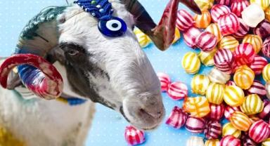 2026’da Bayramlar Ne Zaman Kutlanacak? Tarihler Açıklandı!