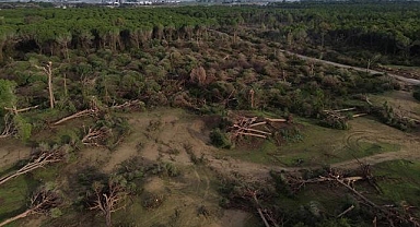 Antalya'da hortumun zarar verdiği ormanlık alan havadan görüntülendi 