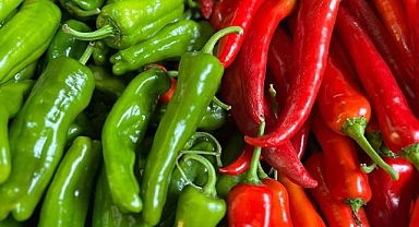 Batı Akdeniz'in ihracat şampiyonu biber oldu