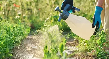 Bitki koruma ürünü başvurularındaki ticari adlara ilişkin düzenleme