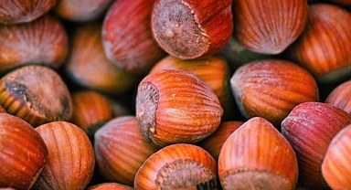 FİSKOBİRLİK Olağan Mali Genel Kurulu Giresun'da yapıldı