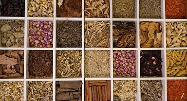 Güneydoğu Anadolu'nun hububat, bakliyat ve yağlı tohumlar ihracatı 2025'te yüzde 3,6 arttı