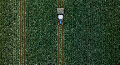 Hububatta üretim ve verim artışında yağışlar belirleyici olacak