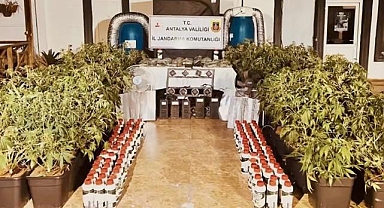 Jandarma, son iki haftadaki operasyonlarında 6 milyon uyuşturucu hap ile 270 kilogram uyuşturucu ele geçirdi