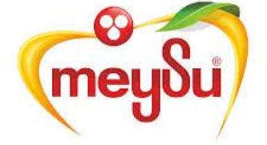 Kapasitesini 2,6 kat artıran Meysu'nun hedefi yeni ihracat rotaları