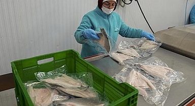 Karadeniz'in su ürünleri ihracatı geçen yıl 400 milyon doları aştı