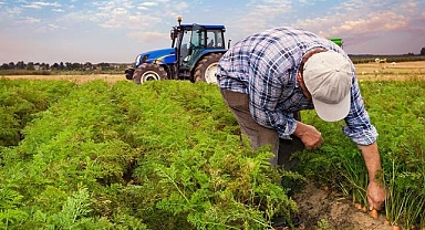 Kırsal Kalkınma Desteklerine ilişkin usul ve esaslar belirlendi