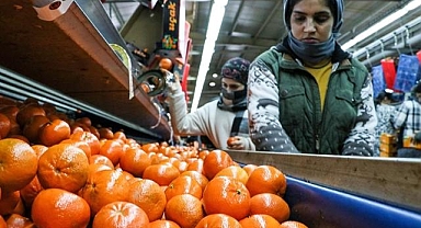 Narenciye ihracatı 2025'te Türkiye'ye 1 milyar 477 milyon 58 bin dolar kazandırdı