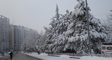 Sivas'ta soğuk hava etkili oluyor