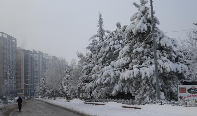 Sivas'ta soğuk hava etkili oluyor