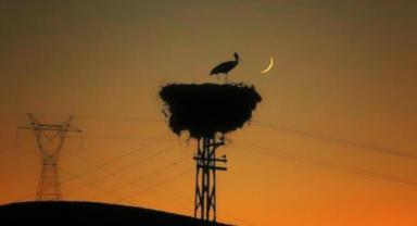 Spot piyasada elektrik fiyatları