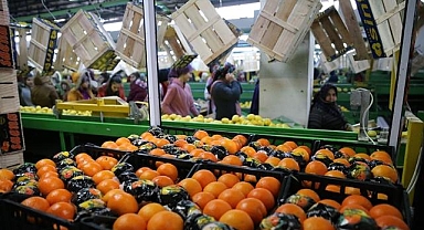 Tarım sektöründen 2025'te tüm zamanların en yüksek yıllık ihracatı