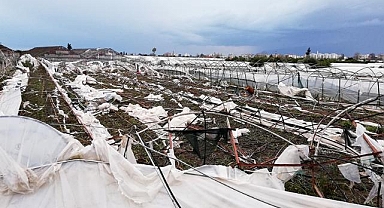 TARSİM tarafından 2026'te teminat altına alınacak ürün ve riskler belirlendi