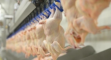 Tavuk eti üretimi Kasım 2025'te aylık yüzde 5,5 azaldı, yıllık yüzde 7,9 arttı