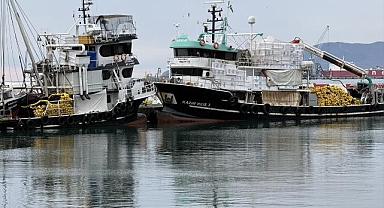 Tekirdağlı balıkçılar şiddetli lodos nedeniyle ava çıkamıyor