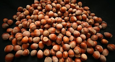 Türk fındığı 2025'te 122 ülkede alıcı buldu