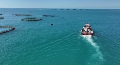 Türkiye'de 2025'te balık üretiminde cumhuriyet tarihinin rekoru kırıldı