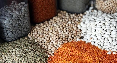 Türkiye'nin hububat ihracatı geçen yıl 12,3 milyar doları aştı