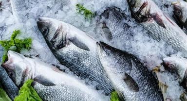 Türkiye'nin su ürünleri ve hayvansal mamulleri ihracatı 4 milyar doları aştı