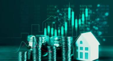 Yatırımcı rehberi (3)