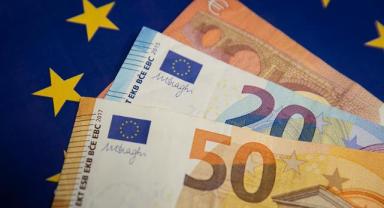 Avro Bölgesi'nde yıllık enflasyon ocakta yüzde 1,7 oldu