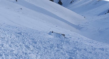 Doğu Karadeniz ve Doğu Anadolu için çığ uyarısı