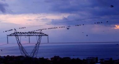 Günlük elektrik üretim ve tüketim verileri