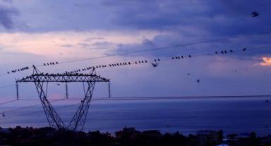 Günlük elektrik üretim ve tüketim verileri