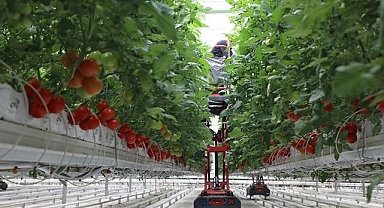 IPARD-III kapsamında 214 projeye 1,7 milyar lira hibe verilecek