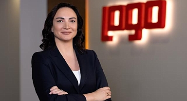 Logo Ödeme faaliyet izni sürecini tamamladı