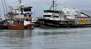 Tekirdağ'da poyraz deniz ulaşımını olumsuz etkiliyor