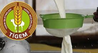 TİGEM 24 bin kilogram koyun sütü satacak