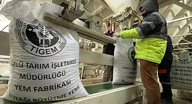 TİGEM ihaleyle yem ham maddeleri alacak