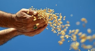 Türkiye'nin hububat, bakliyat, yağlı tohumlar ihracatı ocak ayında 1 milyar dolara yaklaştı