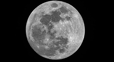 WSJ: Elon Musk'ın SpaceX şirketi, Ay yolculuğuna öncelik vermek için Mars görevini erteledi