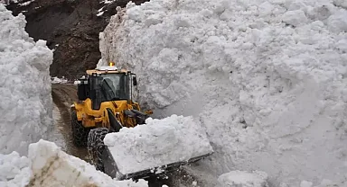 Bitlis'te çığın düştüğü köy yolunda çalışma başlatıldı