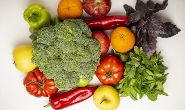 FAO: Küresel gıda fiyatları 5 ay sonra yeniden yükselişe geçti