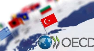 OECD Raporu: Borçlanma Hız Kesmedi, Riskler Büyüyor