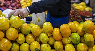 Tarım, gıda ve içecek sektöründen yılın ilk ayında 2,4 milyar dolarlık ihracat