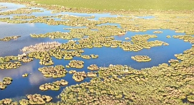 Tarımsal faaliyetlerle bozulan turbalıklar yılda 2 milyar ton karbon salıyor