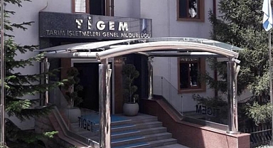 TİGEM fıstık çamı kozalağı satacak