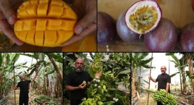 Alanya Tropikal Meyvelerin Yeşil ve Dijital Dönüşümü Projesi'nin tanıtımı yapıldı