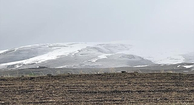 Ardahan'ın yüksek kesimlerinde kar etkili oldu