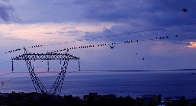 Elektrik üretimi şubatta yüzde 3,09 azaldı