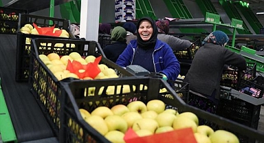 Elma diyarı Isparta'da kadınların paketleme tesislerindeki mesaisi sürüyor