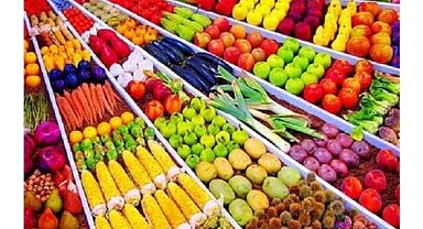 Niğde'de meyve ve sebze işleme tesisi yatırımlarına özel teşvik