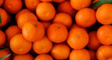 Türkiye yılın ilk çeyreğinde en fazla mandalinayı Irak'a, limonu Rusya'ya sattı
