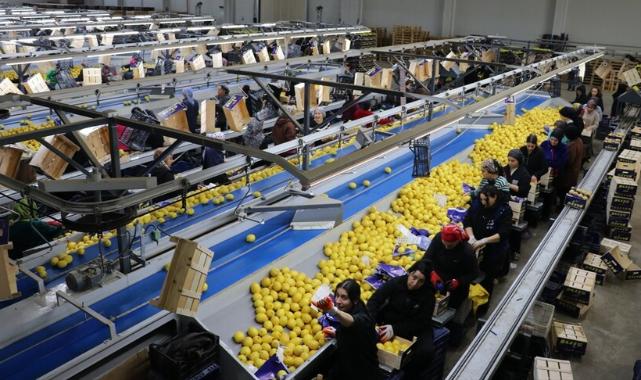 Türkiye, yılın ilk çeyreğinde en fazla yaş meyve sebzeyi Irak'a gönderdi