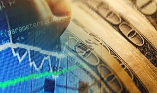 Yatırımcı rehberi (1)