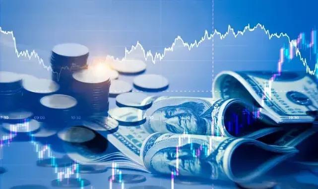 Yatırımcı rehberi (2)